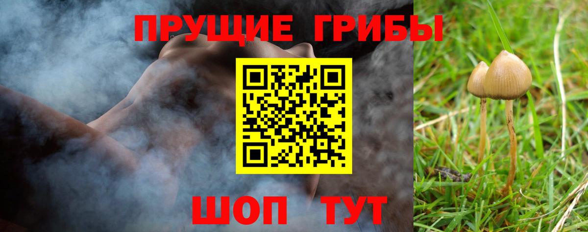 Галлюциногенные грибы Magic Shrooms Рыбинск